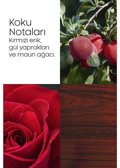 Elizabeth Arden Always Red EDT 100 ml Kadın Parfüm - 4