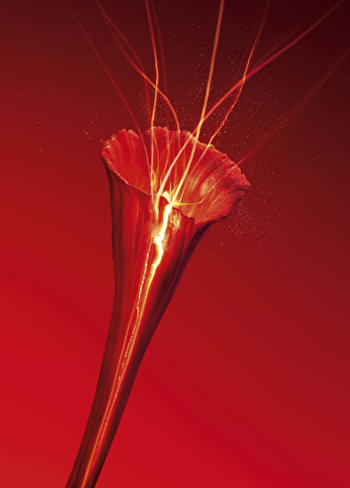 Yves Saint Laurent Rouge Riche Creme - 6