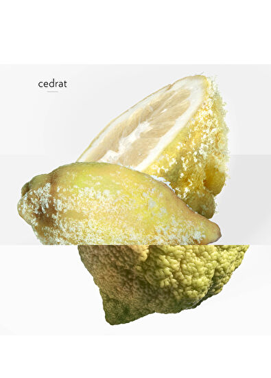 Hermès Terre d'Hermes Eau Givree EDP 50 ml Erkek Parfüm - 5