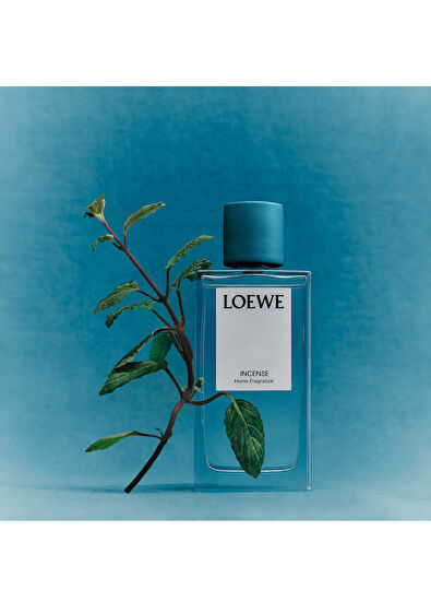 Loewe Incense 150 ml Oda Spreyi - 4