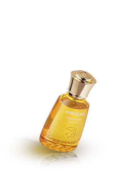 Renier Parfums Anacaona Extrait De 50 ml Kadın Parfüm - 4