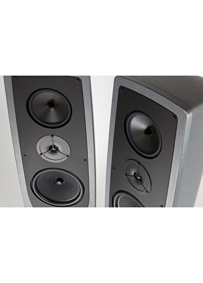 Rega AYA Titanyum Gri Kule Tipi Hoparlör - 6