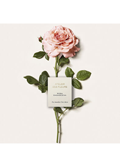 Chloe Atelier des Fleurs Rosa Damascena Edp 150 ml - 3