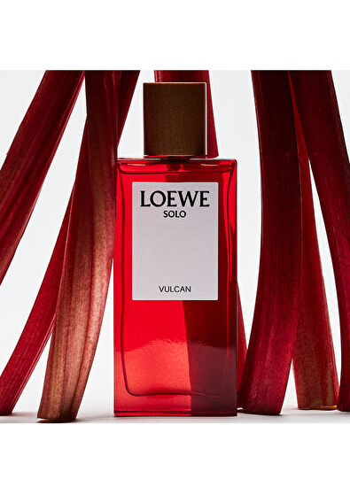 Loewe Loewe Solo Vulcan Edp 50 ml - 4