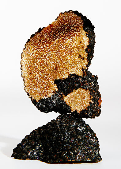 Loewe Earth EDP 100 ml Parfüm - 3