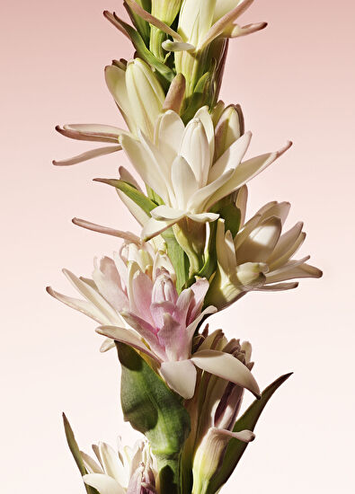 Giorgio Armani Armani/Privé Rouge Malachite EDP 100ml - 5