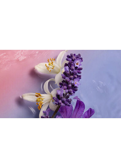 Cacharel Ella Ella Flora Azura EDP 100 ml Kadın Parfüm - 5