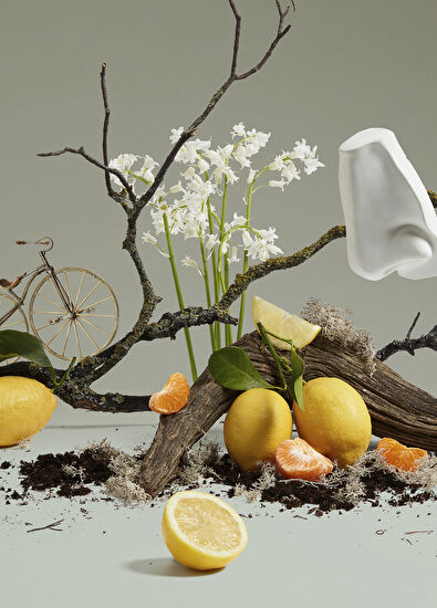 Penhaligon's Quercus EDC 100 ML Parfüm - 4