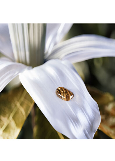 Bvlgari Le Gemme Tygar EDP 125 ml Unisex Parfüm - 5