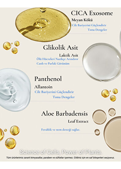 The Stem Cell Lab 101 Face Tonic Eksozom ile Zenginleştirilmiş Peeling Etkili Yüz Toniği 100 ml - 4