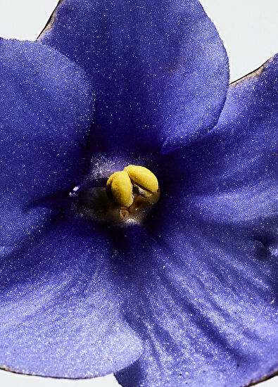 Loewe Loewe San Miguel Edp 150 ml - 3