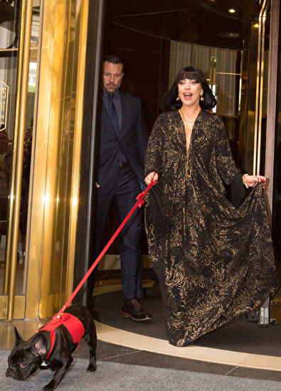 Moshiqa Bijou Red Ribbon Dog Chest Colash - 3