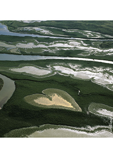 Guerlain Aqua Allegoria Flora Cherrysia EDT 75ml Parfüm - 3