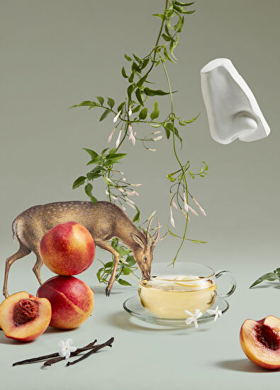 Penhaligon's Artemisia EDP 100 ML Perfume - 4