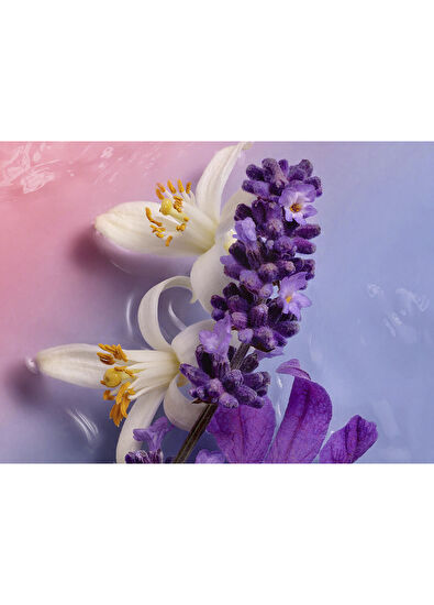 Cacharel Ella Ella Flora Azura EDP 50 ml Kadın Parfüm - 5