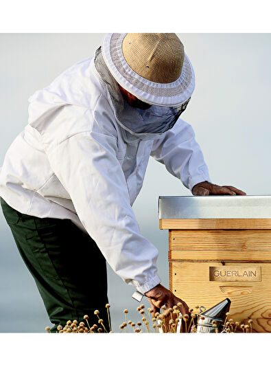 Guerlain Abeille Royale Hair Mask 200 ml - 11