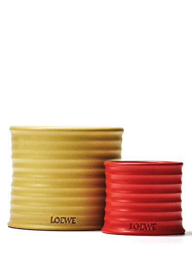 Loewe Honeysuckle 170 gr Candle - 4