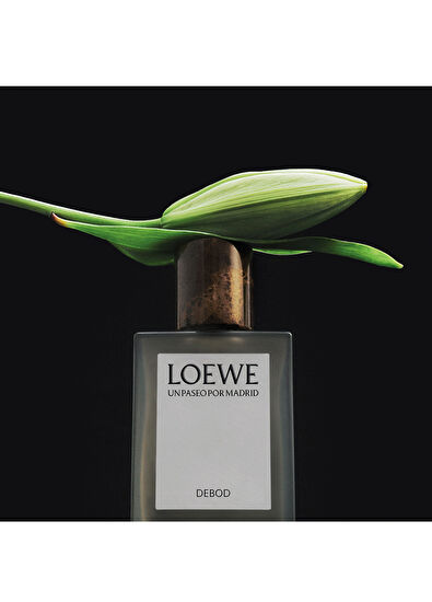Loewe Debod EDP 100 ml Parfüm - 4