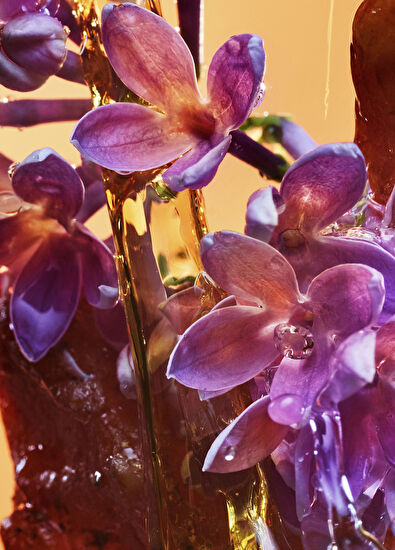 Bvlgari Allegra Rock'n'Rome EDP 50ml - 3