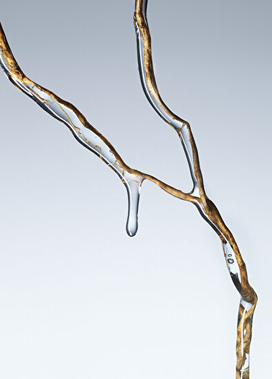 Giorgio Armani Armani/Privé Vetiver D'Hiver EDT 100ml - 5