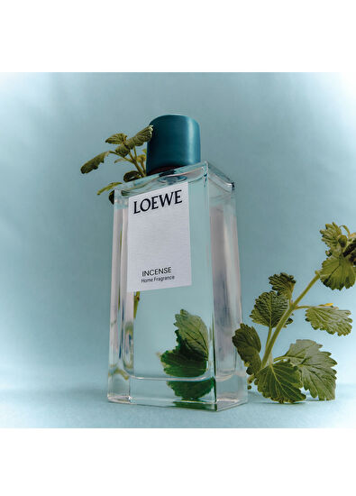 Loewe Incense 150 ml Oda Spreyi - 3
