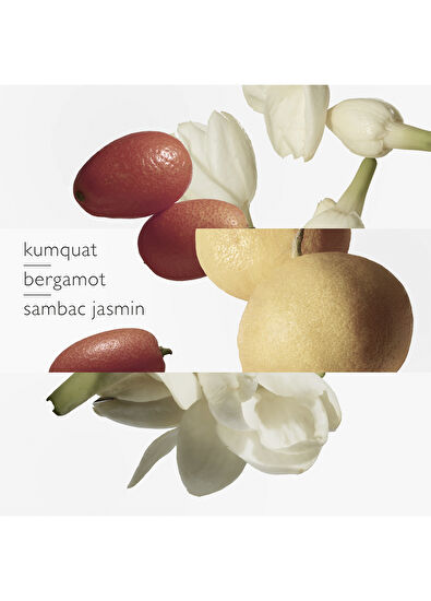 Hermès Le Jardin de Monsieur Li Eau de toilette 100ml - 3