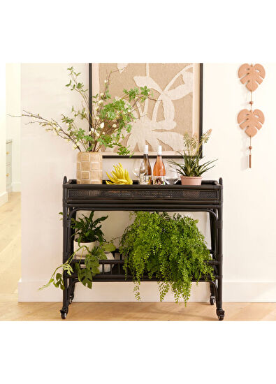 Bee Interiors Dressy Black Wooden Dresser - 5