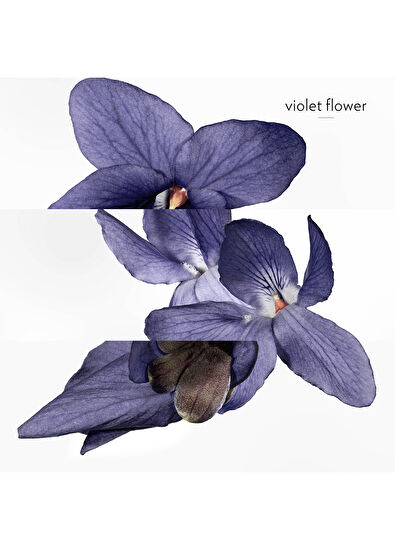 Hermès Hermessence Violette Volynka Eau de toilette 200ml - 5