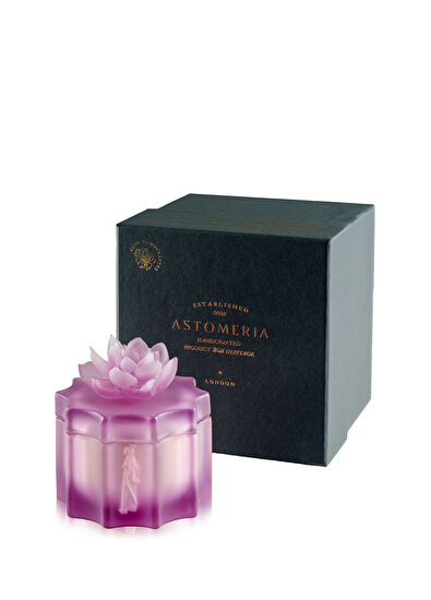 Astomeria The Chromatic Court Lilac Plexiglass Cookie Jar - 5