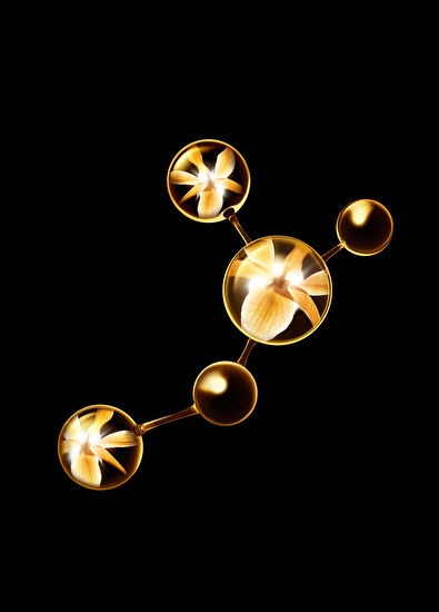 CHANEL Sublimage 50 gr Kavanoz Maske - 5