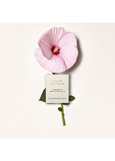 Chloe Atelier des Fleurs Hibiscus Abelmoschus Edp 50 ml - 3