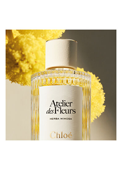 Chloe Atelier Des Fleurs Herba Mimosa Edp 150 ml - 4