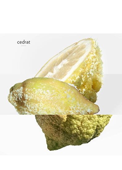 Hermès Terre d Hermes Eau Givree 100 ml Erkek Parfüm - 5