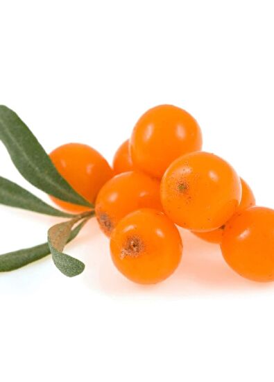 Polaar Normal ve Kuru Ciltler için Cilt Pürüzsüzleştirici - 5