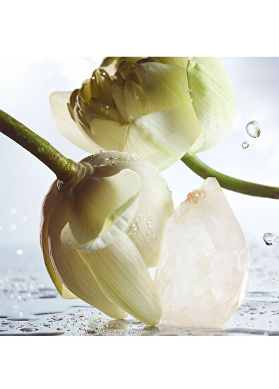 Bvlgari Man Rain Essence Eau de Parfum Refill 200ml - 5