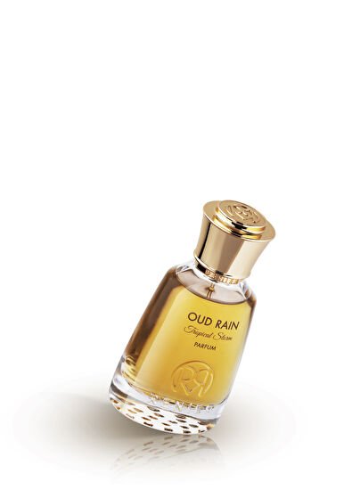 Renier Parfums Oud Rain Tropical Storm 50 ml Erkek Parfüm - 4