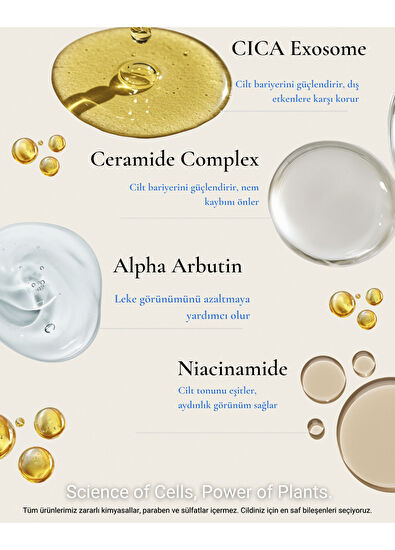 The Stem Cell Lab 101 Sun Cream SPF50+ Eksozom ile Zenginleştirilmiş Güneş Kremi 50 ml	 - 4