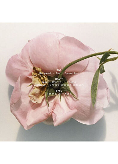 Pelcare Earth Love EDP Anadolu Gülü Bergamot Kadın Parfüm 50 ml - 3
