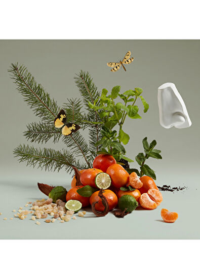 Penhaligon's The Ingenue Cousin Flora EDP 75 ML Perfume - 4