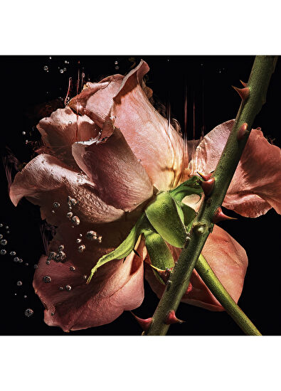 Yves Saint Laurent Le Vestıaıre Des Parfums Radıcal - Blouse 50Ml - 5