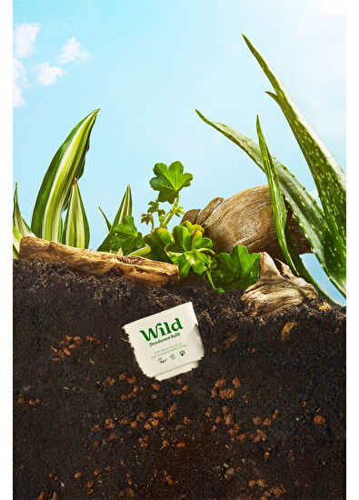 Wild Honey & Cactus Flower Refill Yedek Stick Kadın Deodorant İçi  40 gr - 6