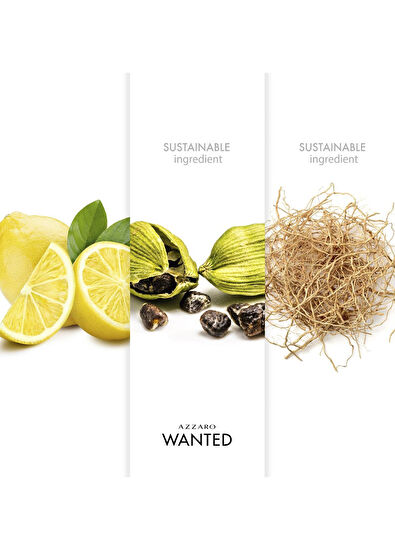 Azzaro Wanted EDT 50 ml Erkek Parfüm - 5