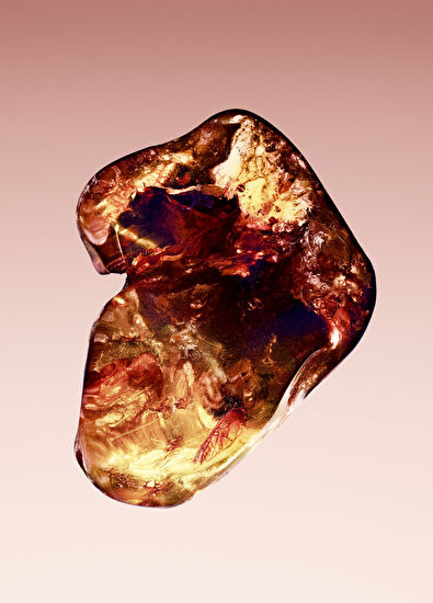 Giorgio Armani Armani/Privé Rouge Malachite EDP 100ml - 7