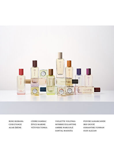 Hermès Poivre Samarcande Eau de Toilette 100 ml - 5