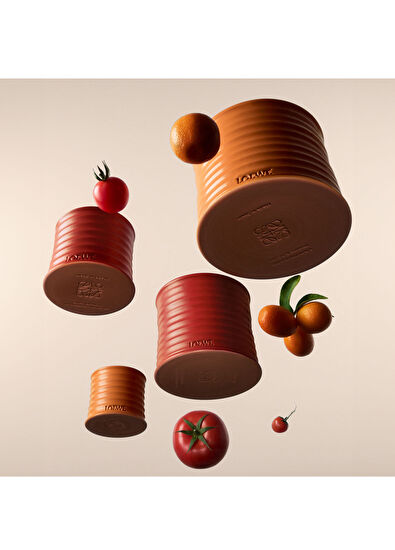 Loewe Orange Small Mum - 5