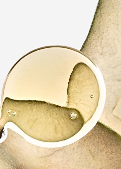 Loewe Elixir Solo Ella EDP 50 ml Kadın Parfüm - 3