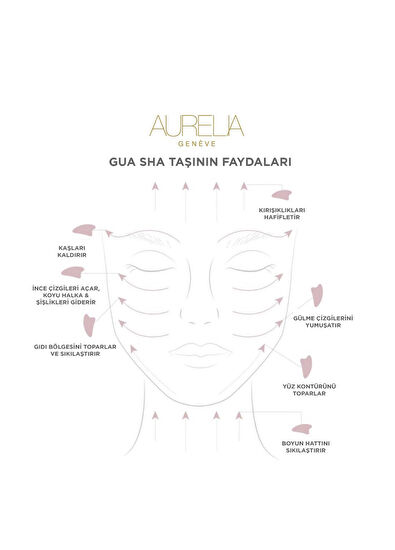 Aurelia Genève Stainless Steel Gua Sha - 5