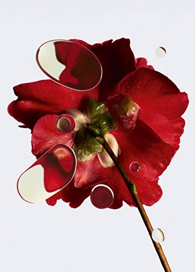 CHANEL N°1 De Chanel Revitalizing Foundation Bd31 30Ml - 7