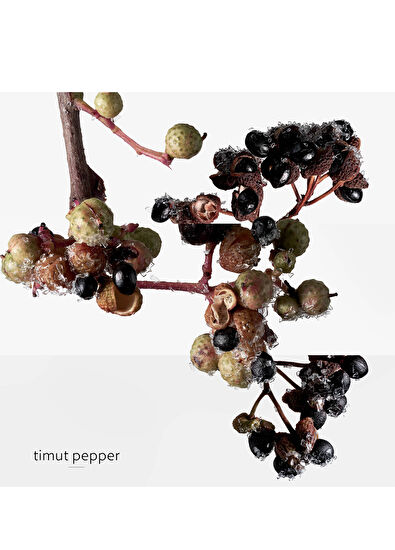 Hermès Terre d'Hermes Eau Givree EDP 50 ml Erkek Parfüm - 7