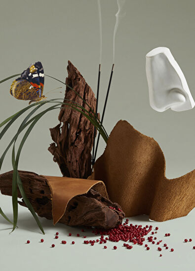 Penhaligon's Terrible Teddy EDP 75 ML Perfume - 4